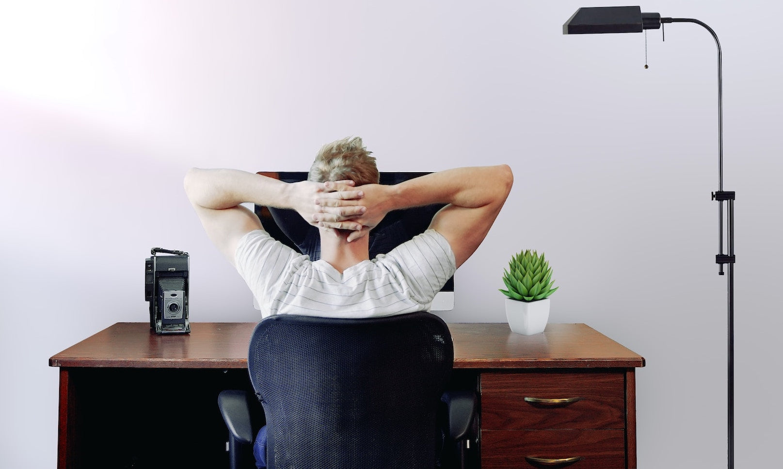 5 Reasons Why Ergonomic Office Chairs in NZ Are a MustBuy for Your Wo