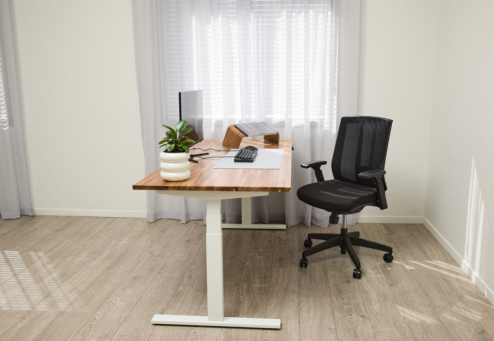 Buy Ergonomic Office Chairs in New Zealand for Comfort Posture