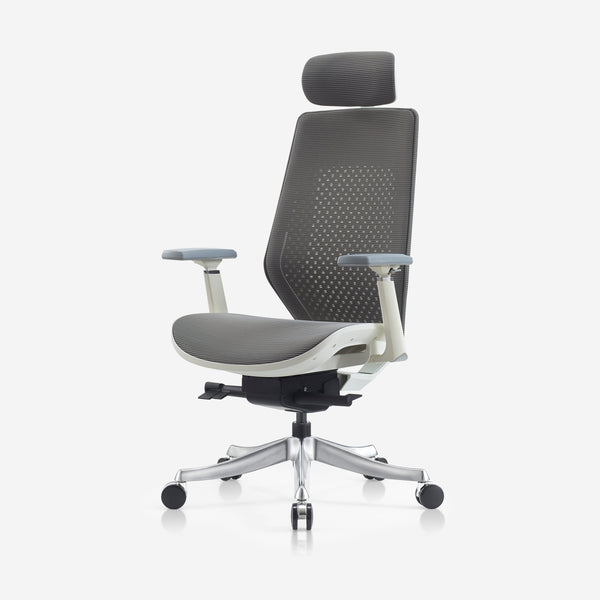 Deskbird Ergonomic Elite Full Mesh Office Chair - Grey