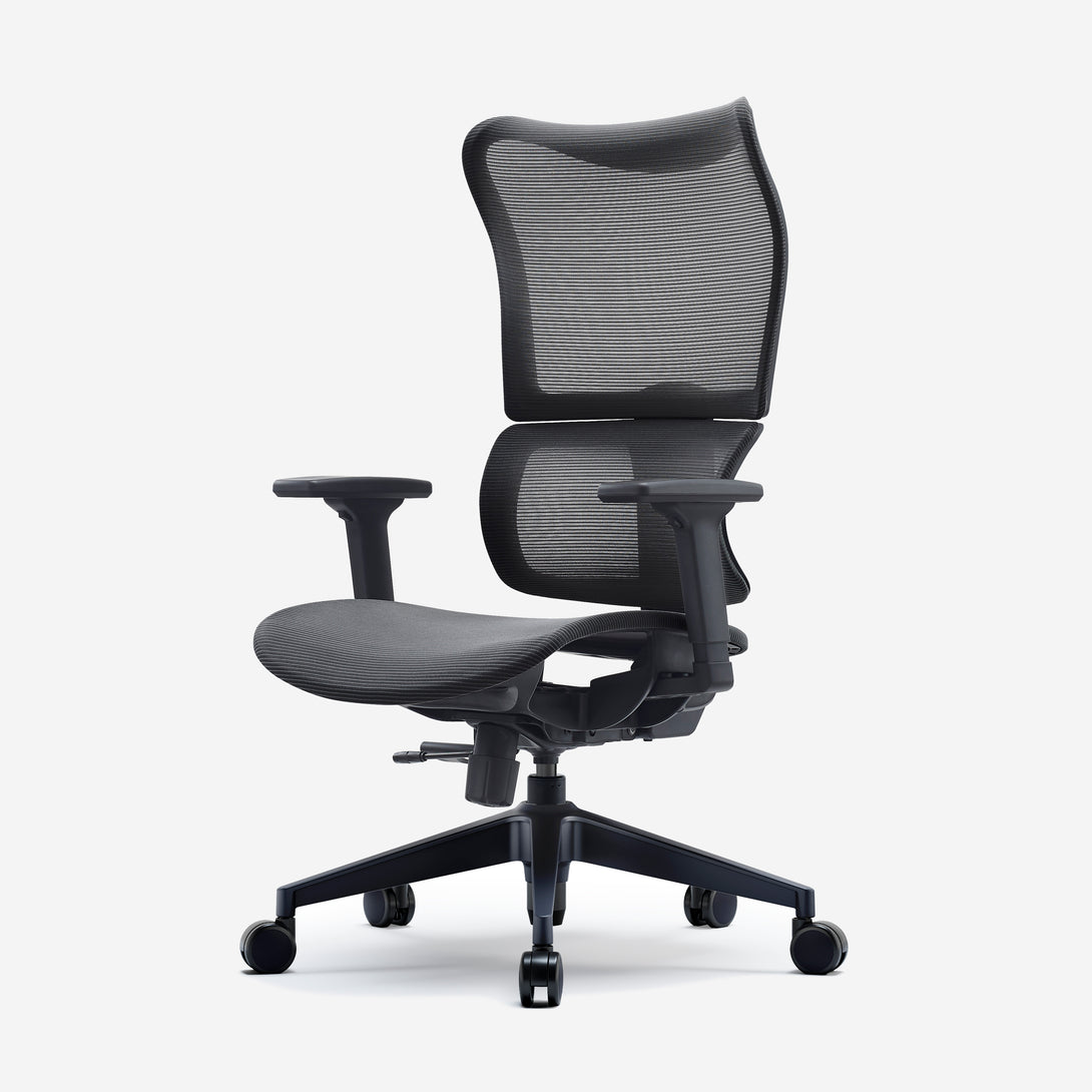Deskbird | Full Mesh Ergonomic Infinity Chair - Black