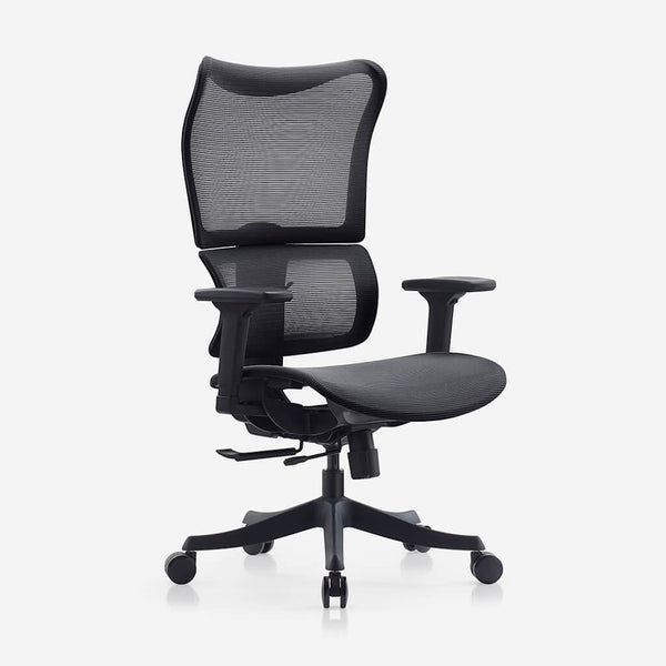 [Display] Deskbird Full Mesh Infinity Ergonomic Office Chair - Black (Pick up in Auckland only)