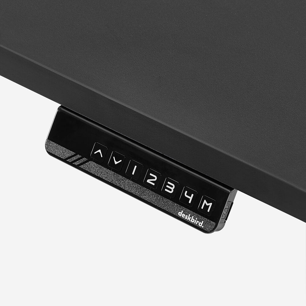 SIGNATURE STANDING DESK - Original