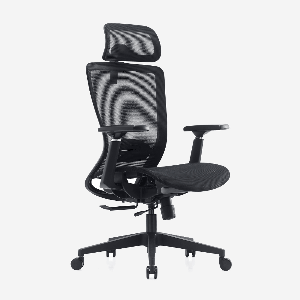 Ergonomic Performance Office Chair NZ | Deskbird