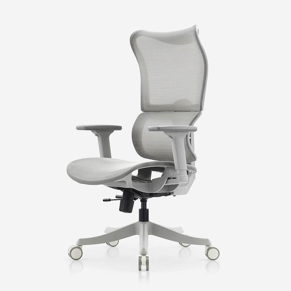 Deskbird Full Mesh Infinity Ergonomic Office Chair - Grey