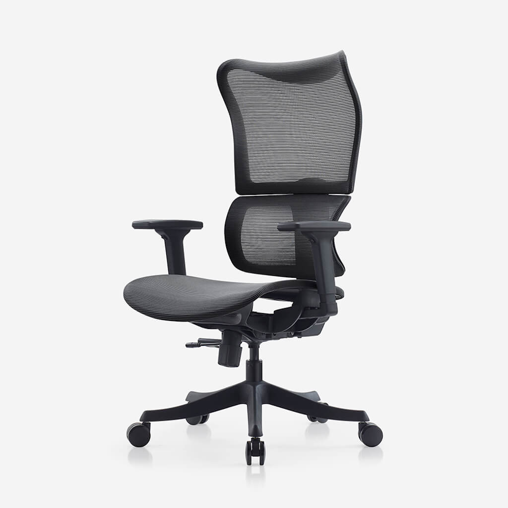 Deskbird Full Mesh Ergonomic Infinity Chair Black deskbird-full-mesh-ergonomic-infinity-chair-black