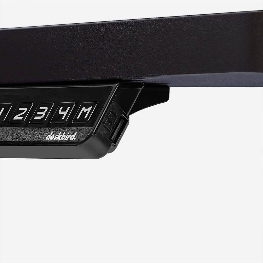 SIGNATURE STANDING DESK - Original